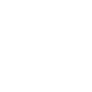 high foto logo